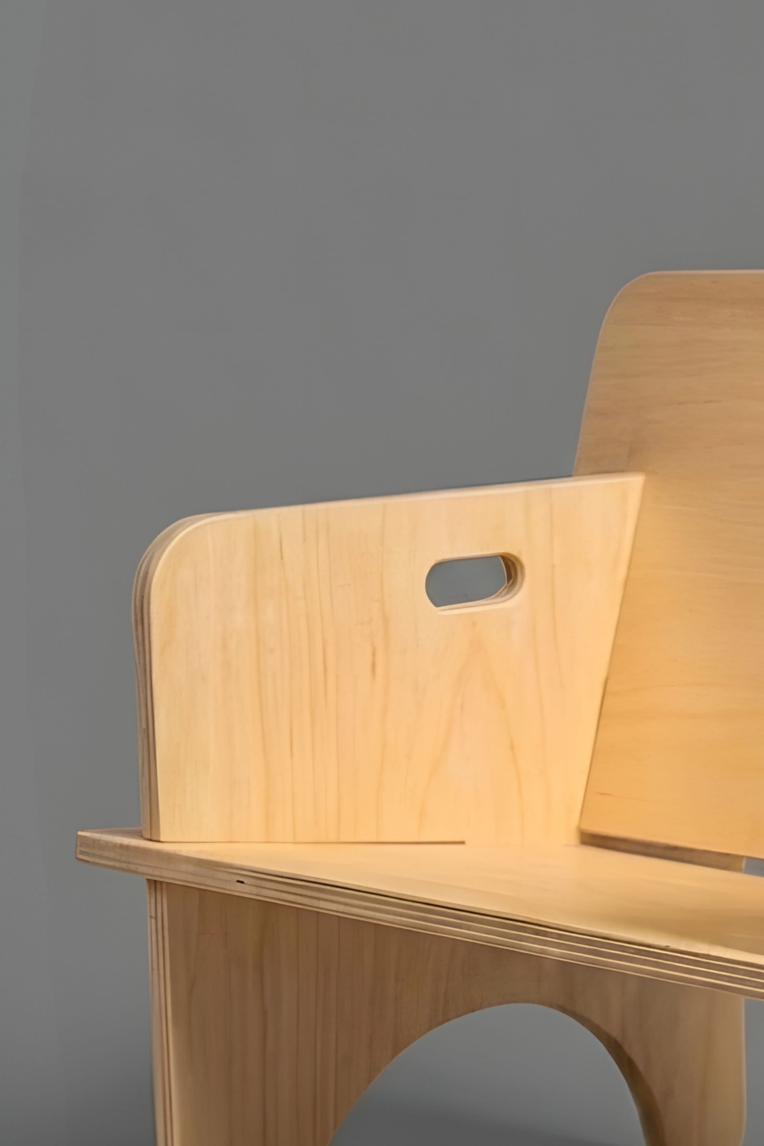 The Frame Lounge Chair