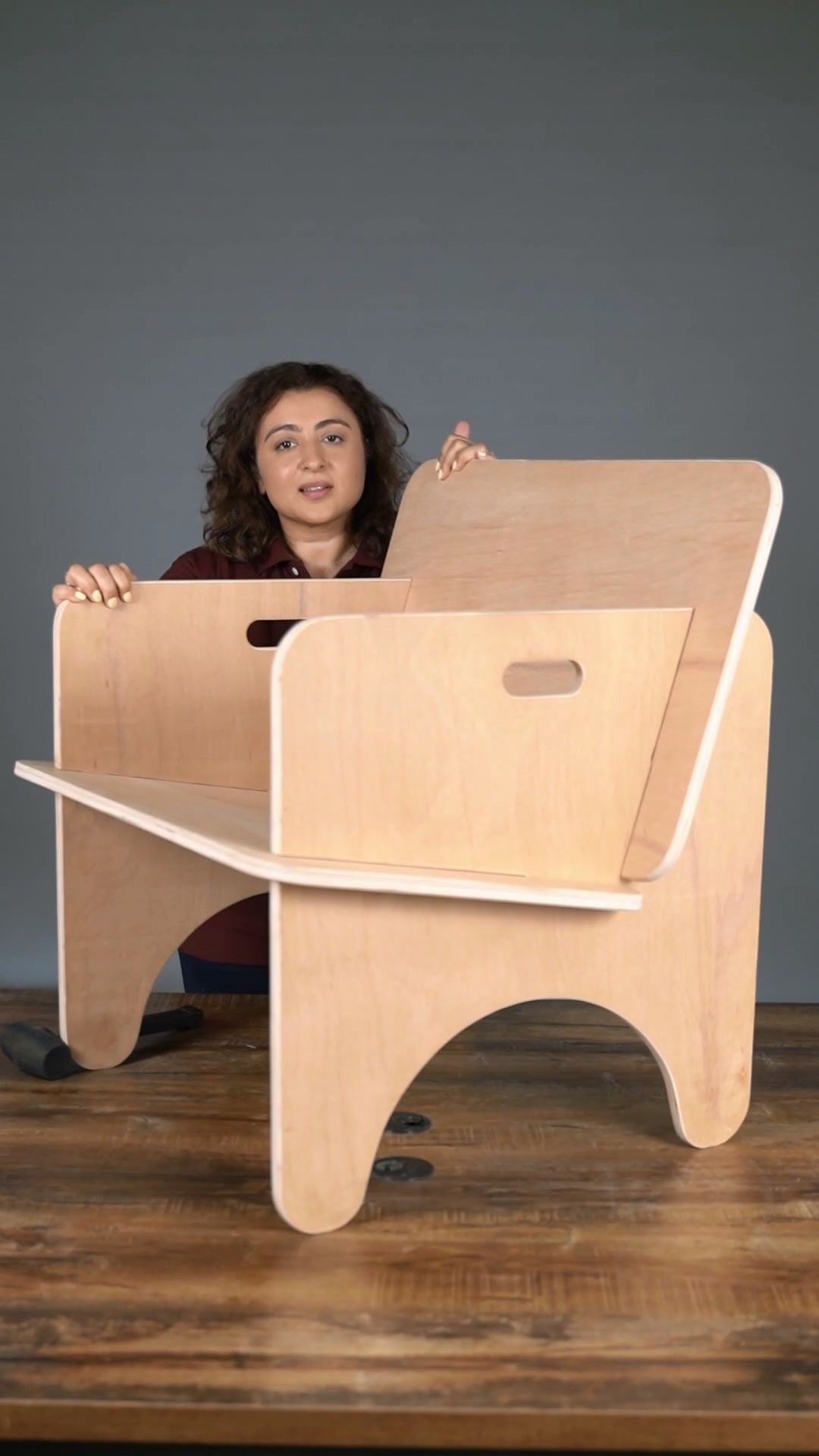 The Frame Lounge Chair
